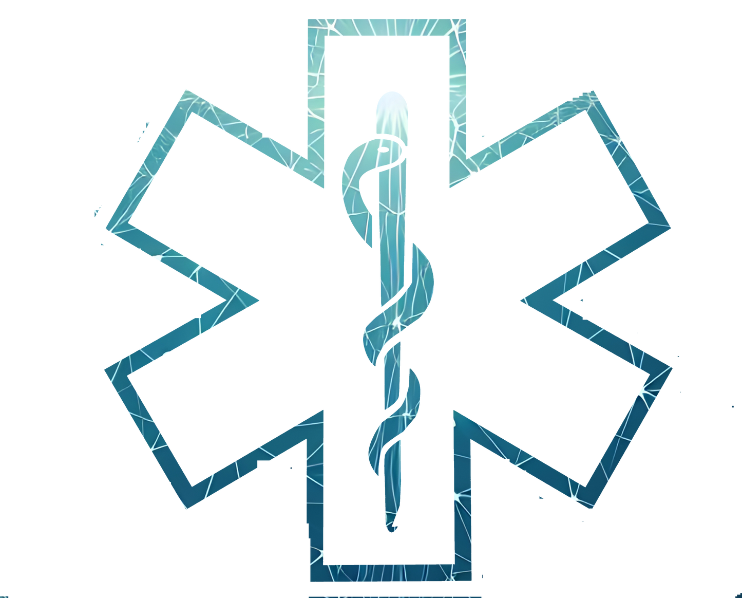 EMS Stickers